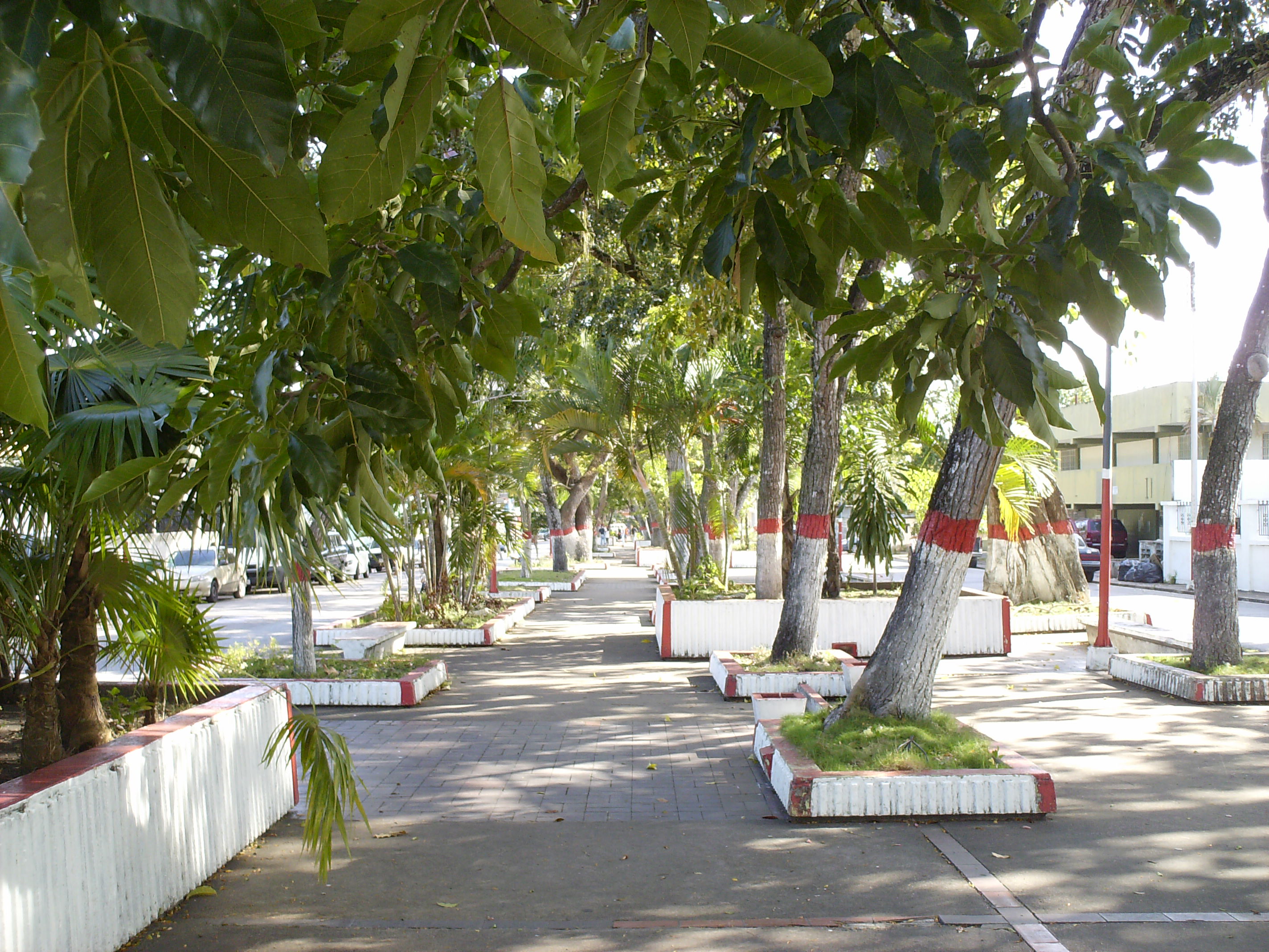 hpim1157.jpg